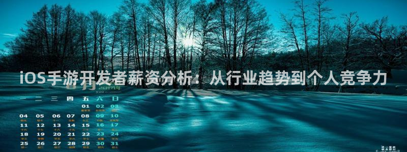 恩佐娱乐登陆：iOS手游开发者薪资分析：从行业趋势到个人竞争