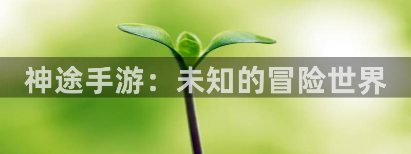 恩佐娱乐平台正规吗安全吗：神途手游：未知的冒险世界