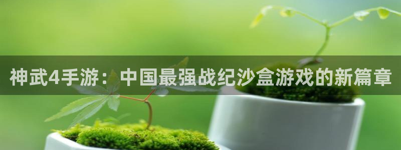 恩佐娱乐登陆：神武4手游：中国最强战纪沙盒游戏的新篇章