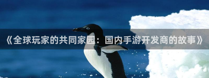 恩佐娱乐平台正规吗安全吗：《全球玩家的共同家园：国内手游开发