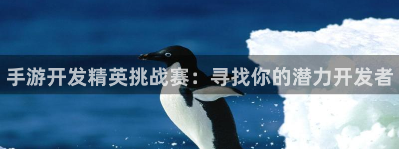 恩佐娱乐：手游开发精英挑战赛：寻找你的潜力开发者