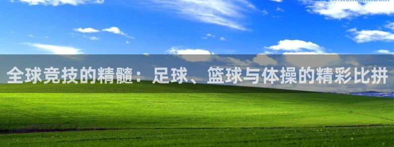 米兰体育场：全球竞技的精髓：足球、篮球与体操的精彩比拼