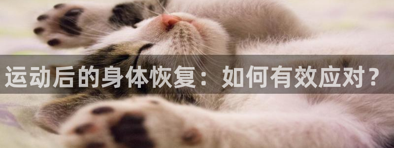 米兰体育app下载：运动后的身体恢复：如何有效应对？
