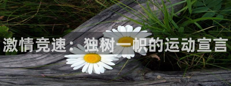 米兰体育app下载：激情竞速：独树一帜的运动宣言