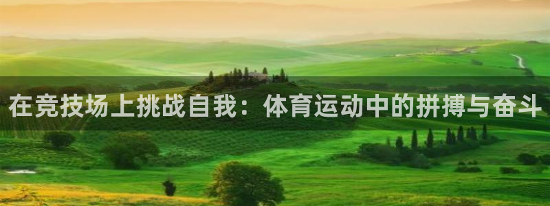 米兰体育靠谱吗：在竞技场上挑战自我：体育运动中的拼搏与奋斗