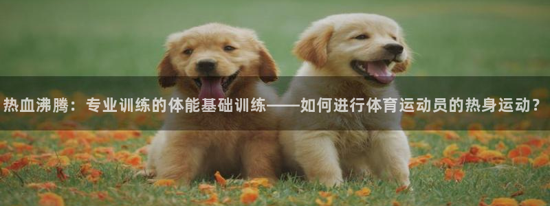 米兰体育app下载：热血沸腾：专业训练的体能基础训练——如何进行体育运动员的热身运动？