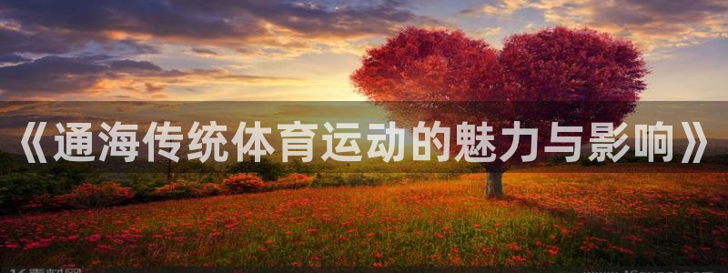 米兰体育网页版：《通海传统体育运动的魅力与影响》