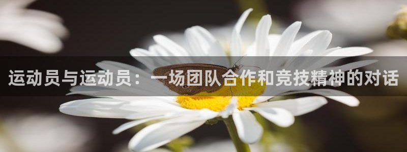 米兰体育网页版登录：运动员与运动员：一场团队合作和竞技精神的对话