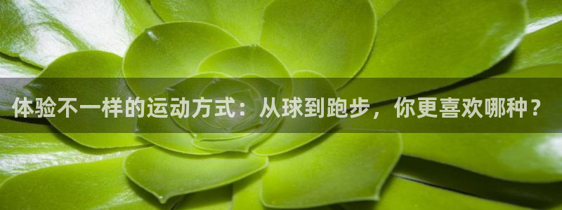 米兰体育app：体验不一样的运动方式：从球到跑步，你更喜欢哪种？