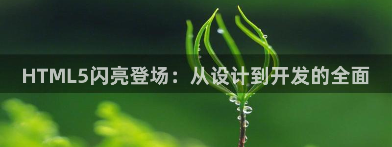 恩佐娱乐1：HTML5闪亮登场：从设计到开发的全面